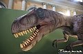 VBS_0960 - Dinosauri. Terra dei giganti